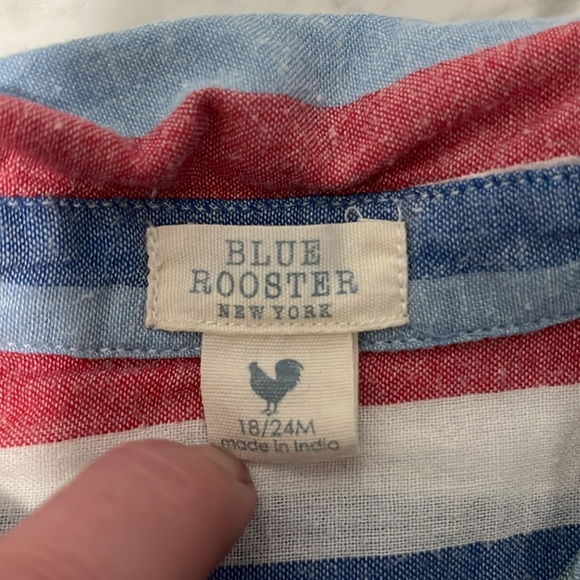 Pink Chicken/Blue Rooster button Shirt striped 18/24 - Picture 3 of 5